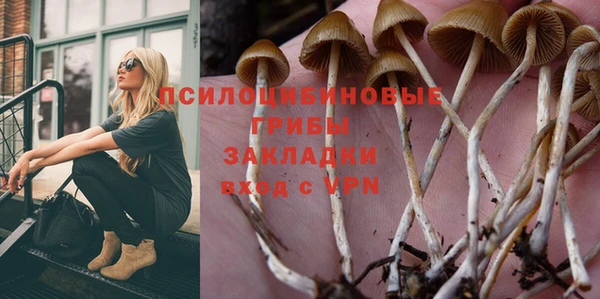 прущие крисы Алексеевка