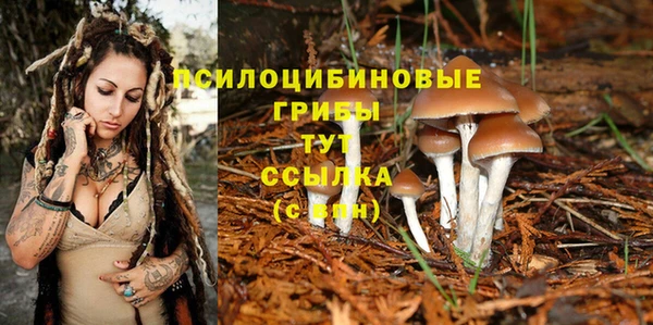 экстази Алзамай