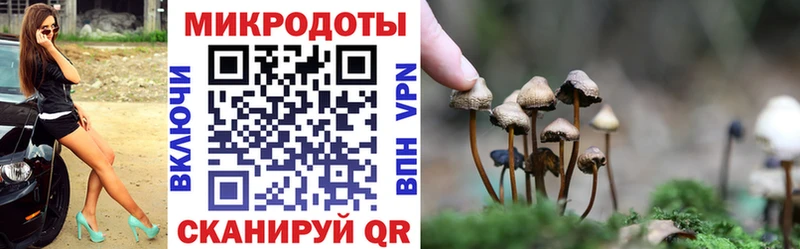 Галлюциногенные грибы GOLDEN TEACHER Ачхой-Мартан
