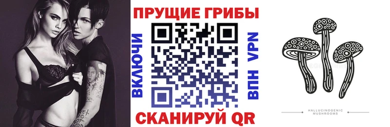 Галлюциногенные грибы прущие грибы  Ачхой-Мартан 